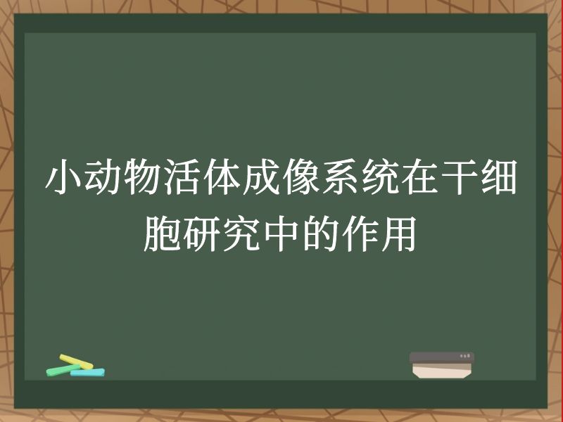小动物活体成像系统在干细胞研究中的作用